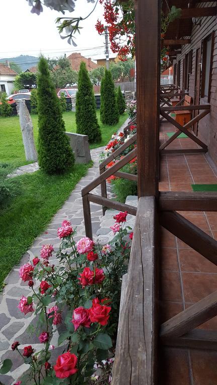 Pensiunea Valea Argesului Albestii Paminteni Exterior photo