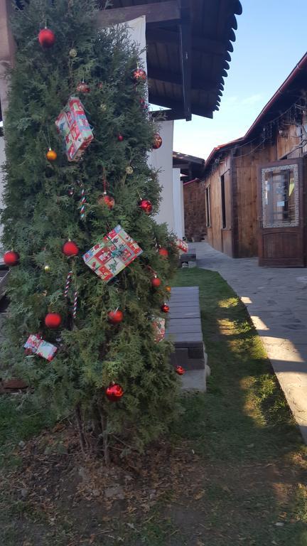Pensiunea Valea Argesului Albestii Paminteni Exterior photo