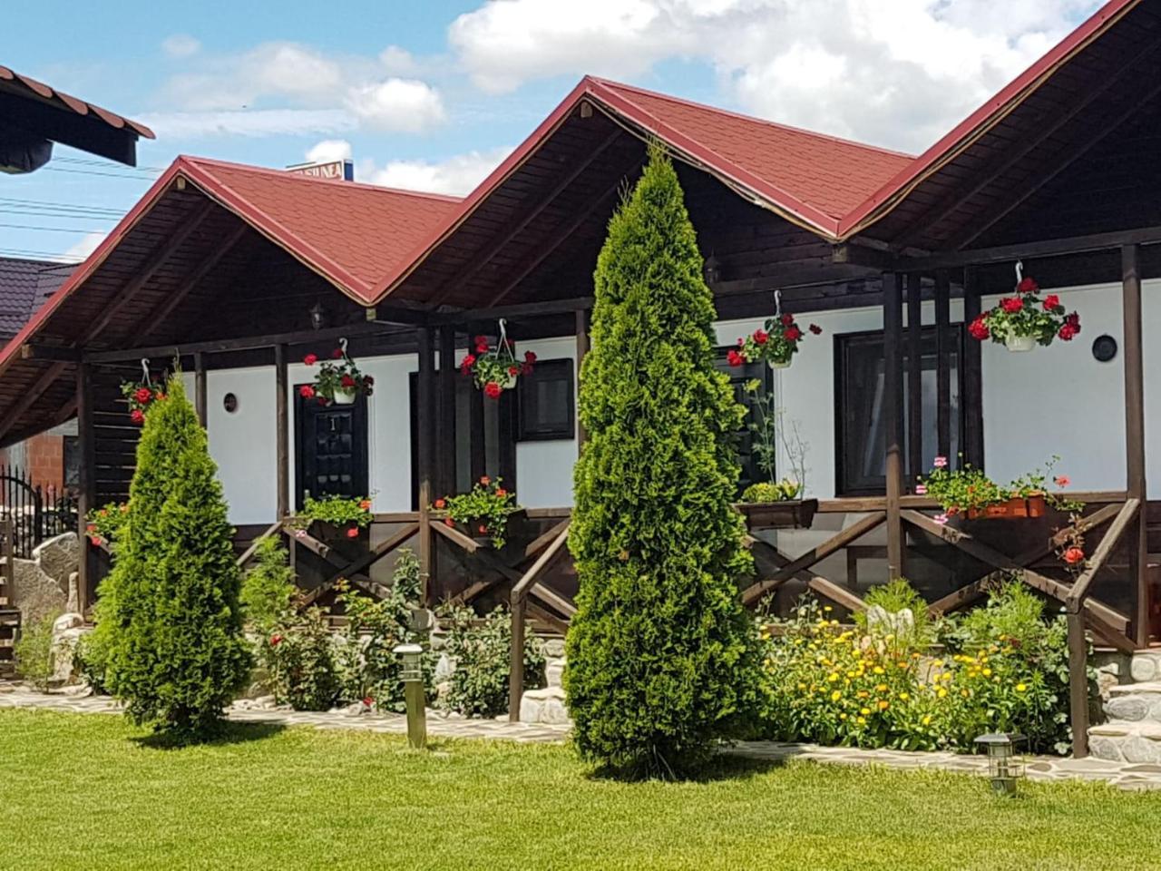 Pensiunea Valea Argesului Albestii Paminteni Exterior photo